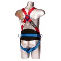 2 Point Harness Comfort